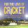 For The Love Of Cricket - Haiku Poems Inspired By The Summer Game Coming To Audio Book